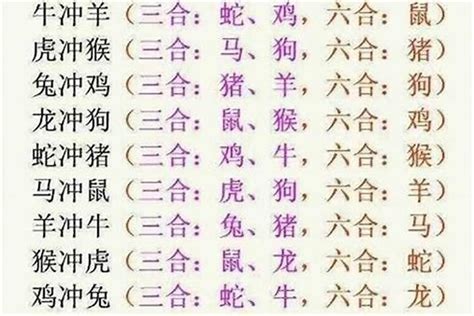 三合六合哪個好|最容易搞懂的三合、六合